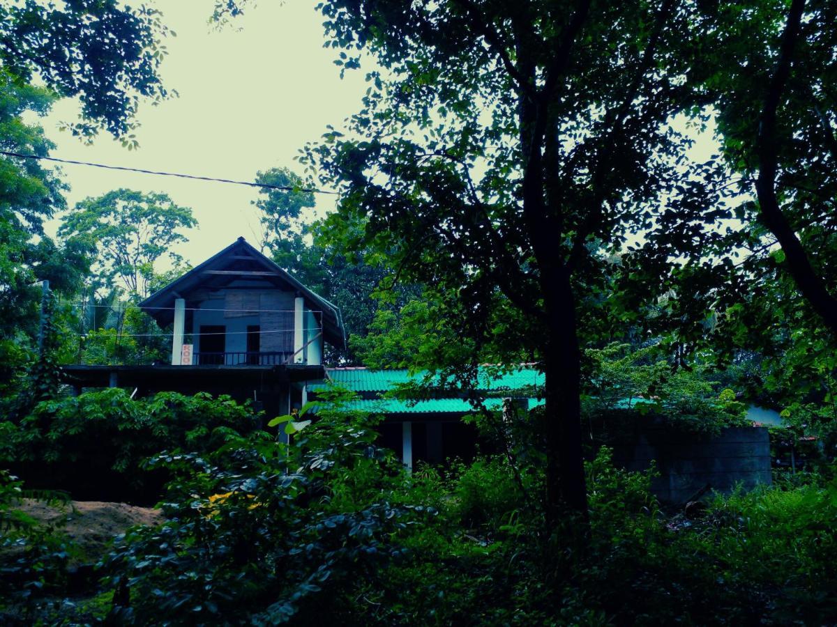 Habarana Dulwan Guest House Экстерьер фото