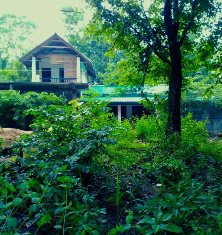 Habarana Dulwan Guest House Экстерьер фото